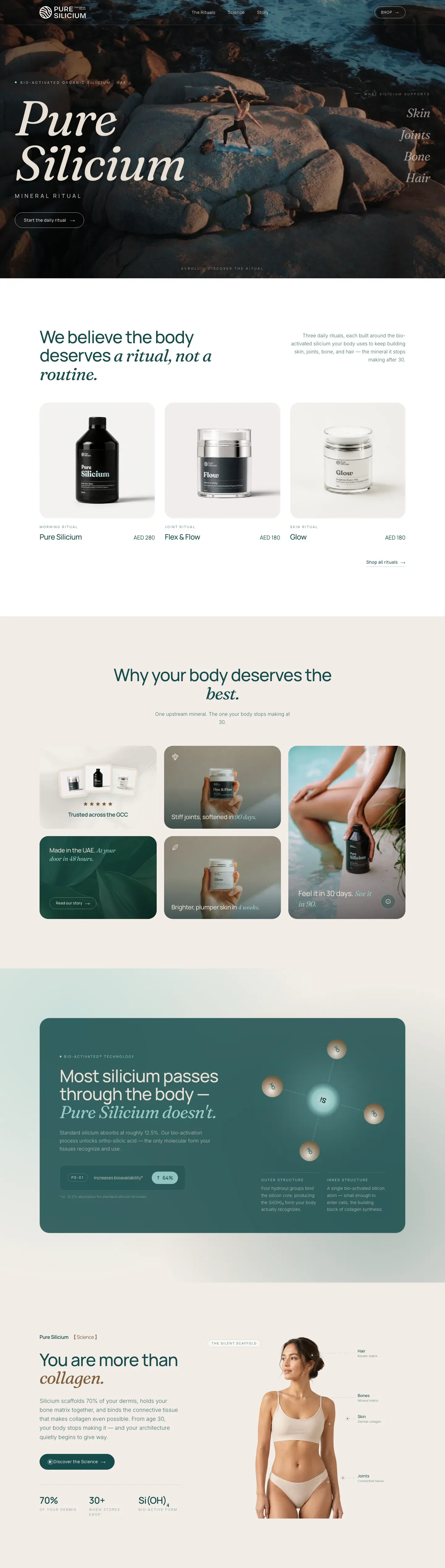 Pure Silicium website on desktop