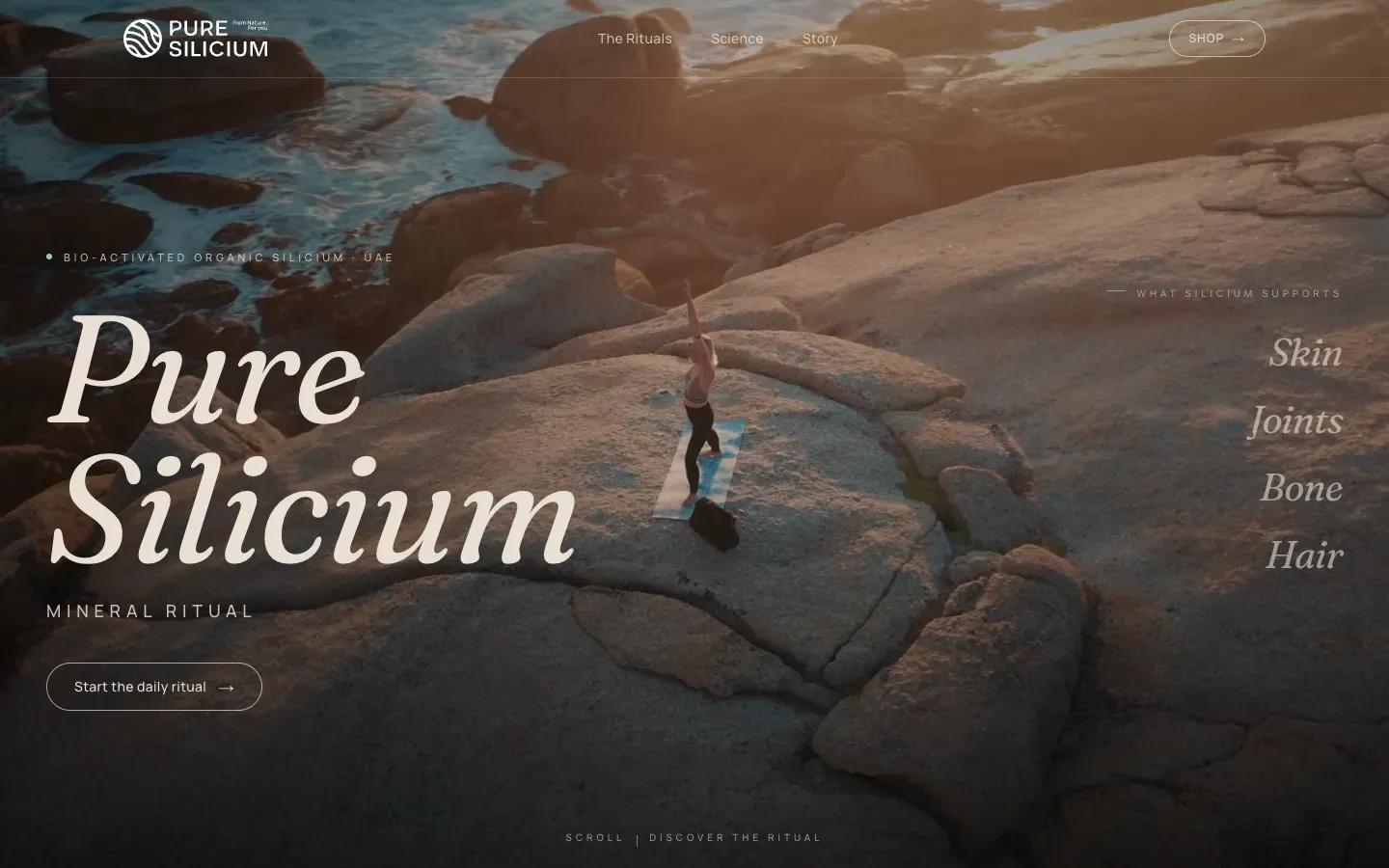 Pure Silicium website
